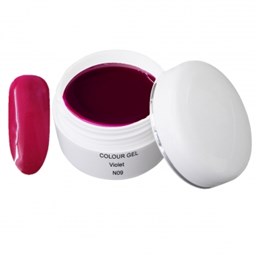 Zeige Details für UV Farbgel - N09 - Collor Violet - 5 ml Bild von UV Farbgel - N09 - Collor Violet - 5 ml