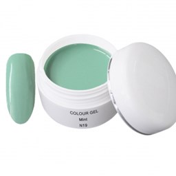 Zeige Details für UV Farbgel - N19 - Collor Mint- 5 ml Bild von UV Farbgel - N19 - Collor Mint- 5 ml