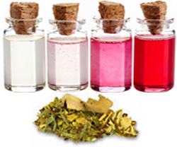 Zeige Details für Aroma Öl - Activ Kräuter Bild von Aroma Öl - Activ Kräuter