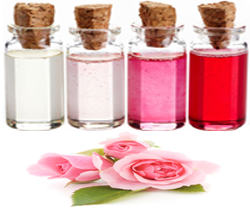 Zeige Details für Aroma Öl - Rosenblätter Bild von Aroma Öl - Rosenblätter